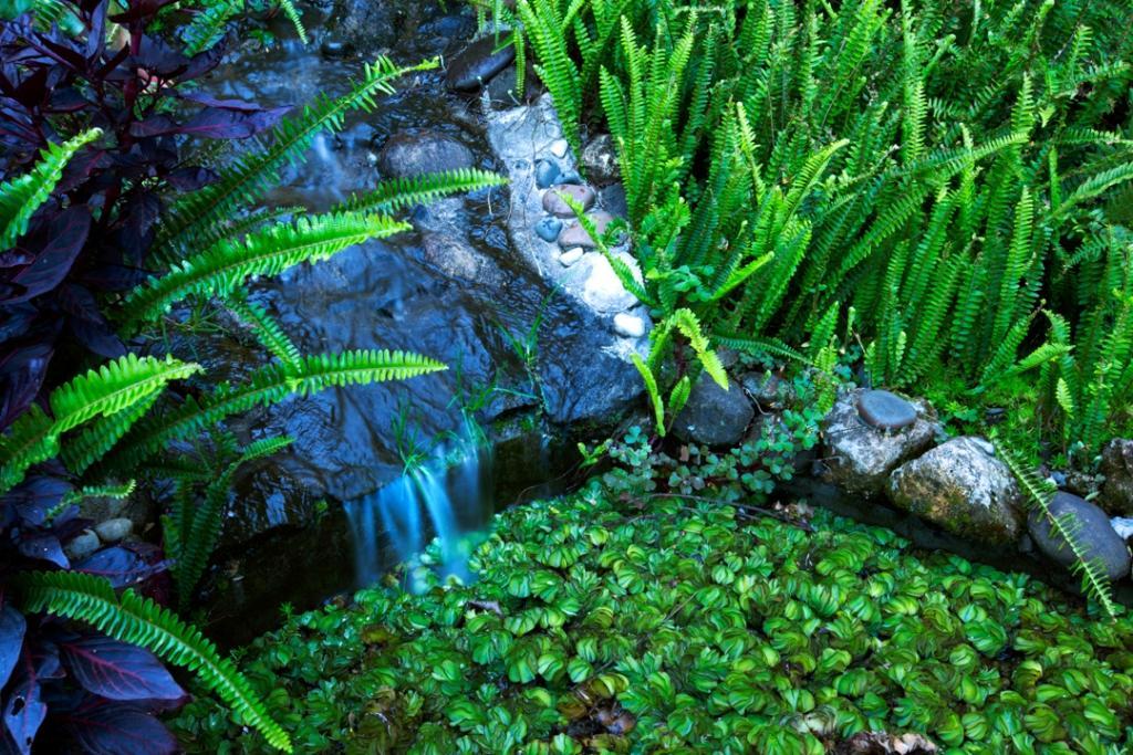 Pine Borough Inn Kodaikanal Dış mekan fotoğraf