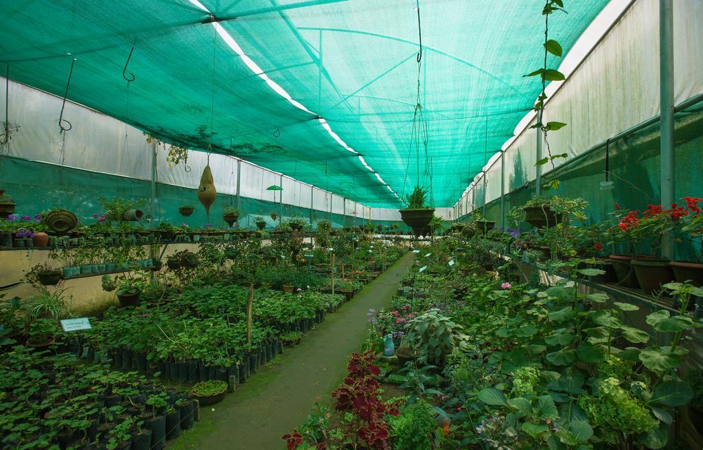 Pine Borough Inn Kodaikanal Dış mekan fotoğraf
